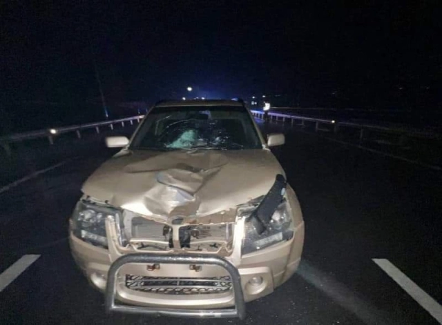 Поблизу Хорола водій авто на смерть збив чоловіка