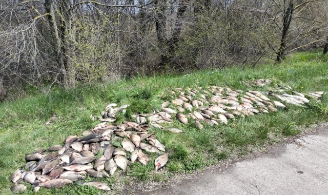 На водоймах Полтавщини поліція виявила браконьєрів та вилучила понад 1000 метрів сіток