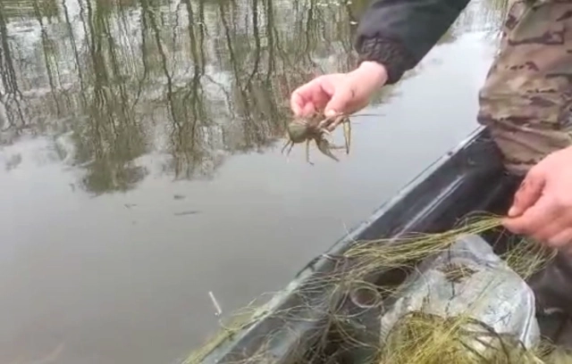 На водоймах Полтавщини поліція виявила браконьєрів та вилучила понад 1000 метрів сіток