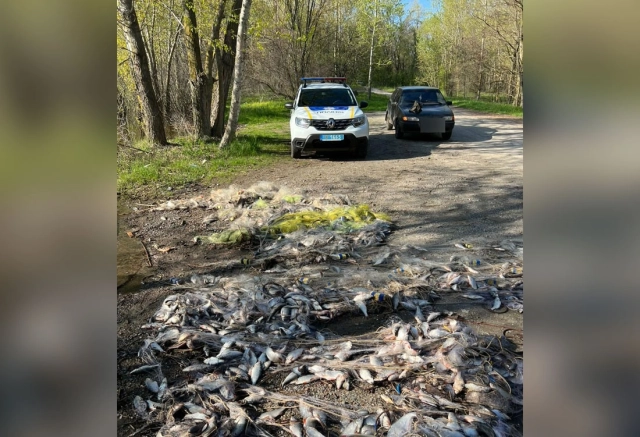 В Сулинській затоці вилучено майже 3 км браконьєрських сіток з рибою