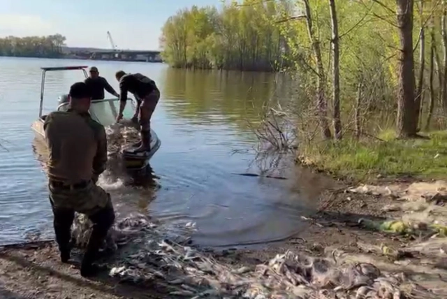 В Сулинській затоці вилучено майже 3 км браконьєрських сіток з рибою