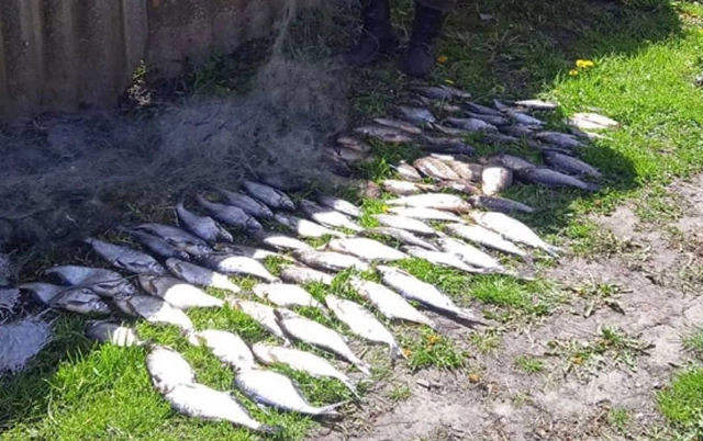 Лубенець займався браконьєрством в Кременчуцькому районі