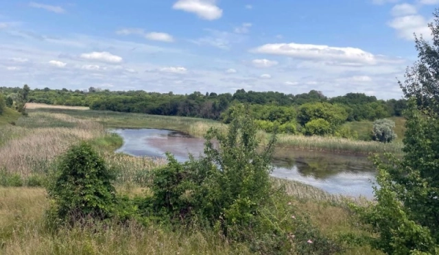 На Хорольщині у ставку знайшли тіло місцевої жінки