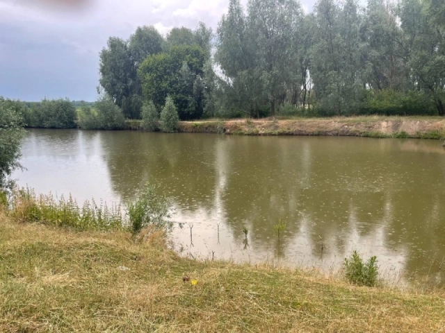 У Гребінківській громаді у ставку загинула дівчинка