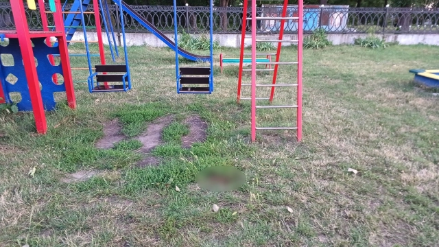 На Полтавщині на дитячому майданчику підліток вдарив ножем 12-річного хлопця