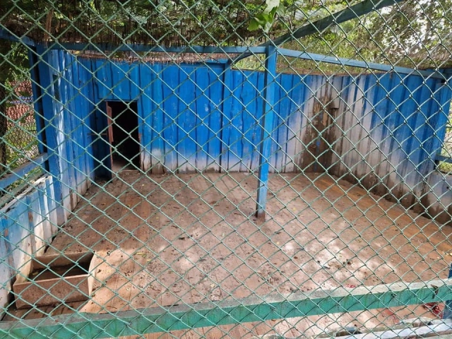 У приватному зоопарку в Котельві тварини п'ють з калюж та лежать у багні