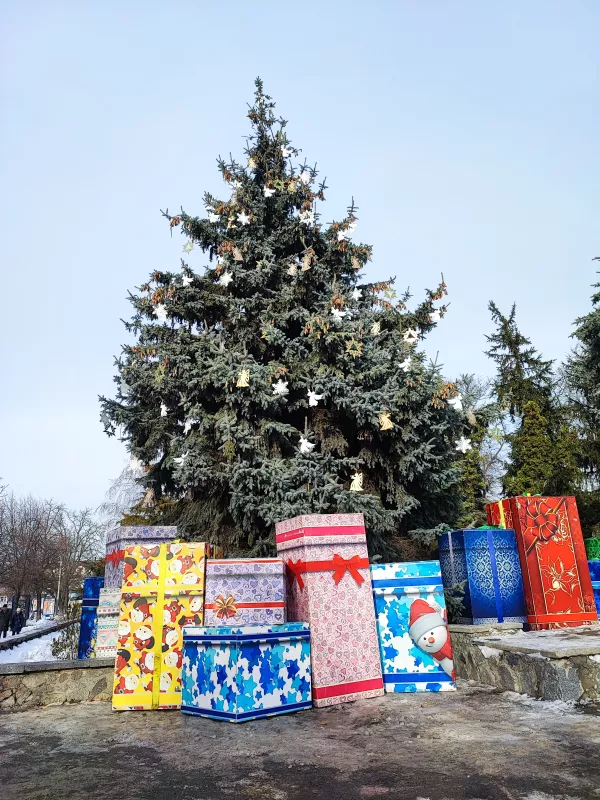 У Лубнах до Нового року прикрасили живу ялинку