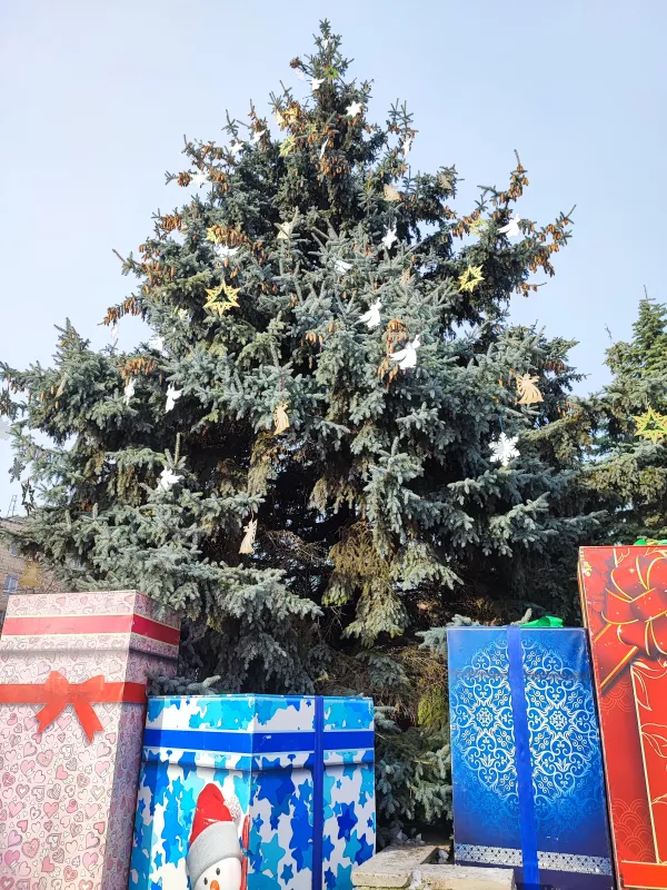 У Лубнах до Нового року прикрасили живу ялинку