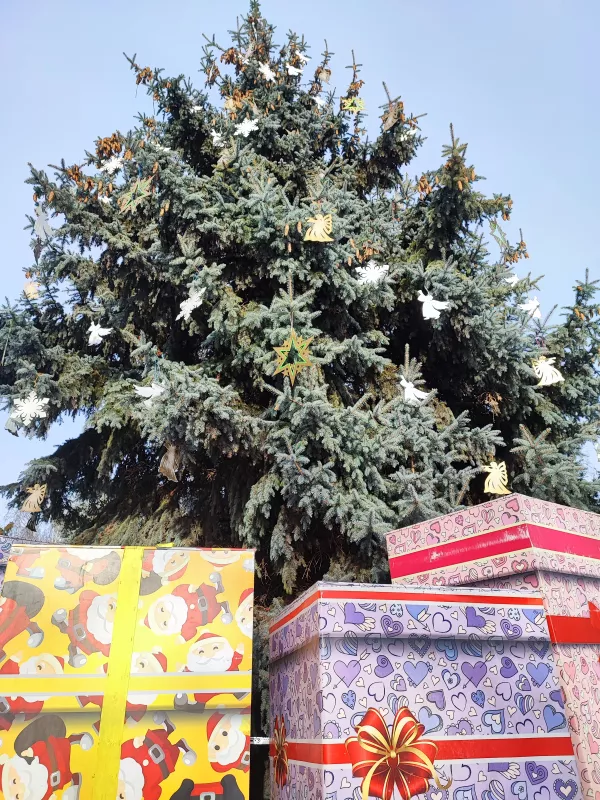 У Лубнах до Нового року прикрасили живу ялинку