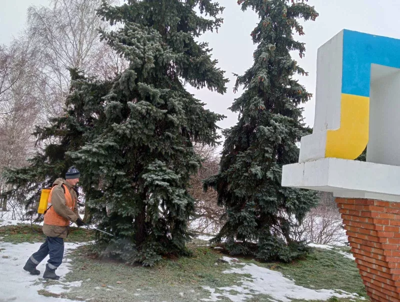 У Лубнах обприскують ялинки для захисту від крадіжок