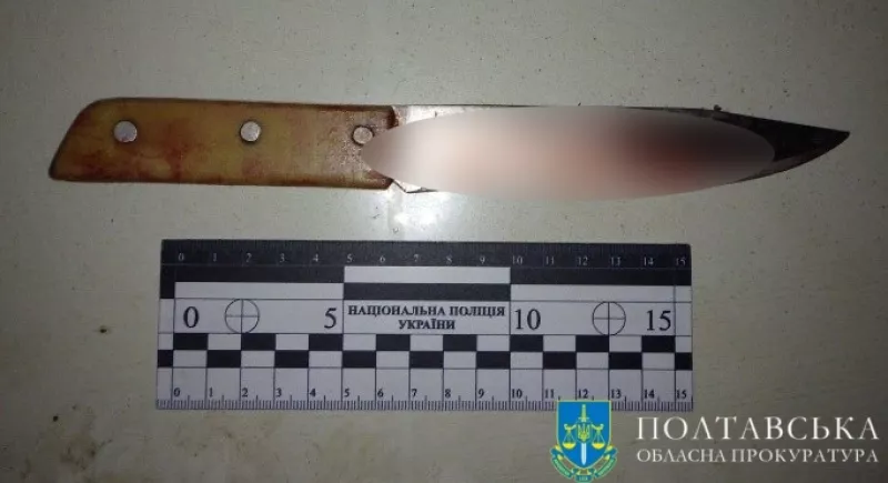 У Лубнах засудили чоловіка, який зарізав жінку та мало не вбив її сина та співмешканця