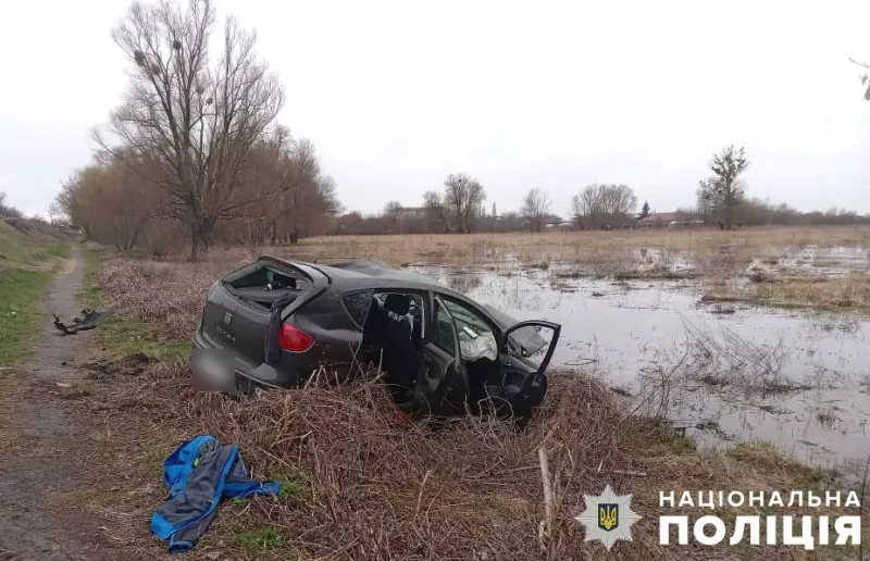 У Засуллі п'яний водій легковика не впорався з керуванням