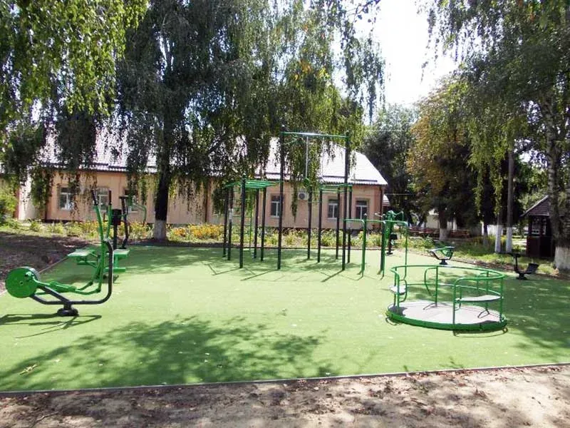 На Лубенщині в бані психоневрологічного інтернату відремонтують дах за понад 3,4 млн грн
