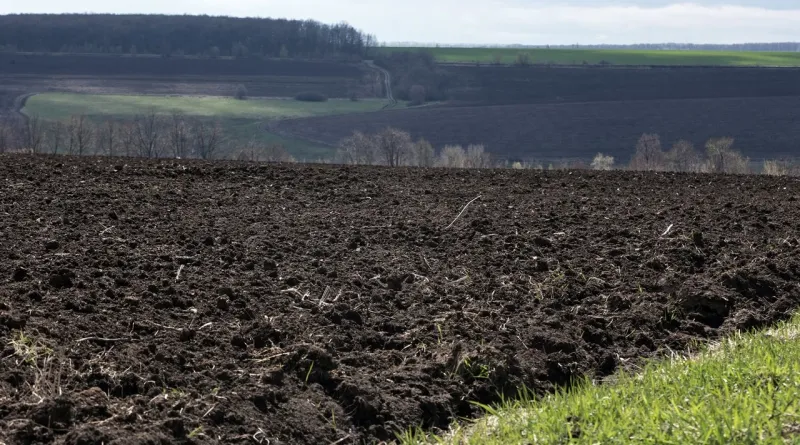 На Лубенщині конфісковано 9 земельних ділянок, що належали громадянам рф та Білорусі