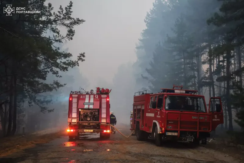 Четверту добу триває гасіння лісової пожежі у Полтавському районі