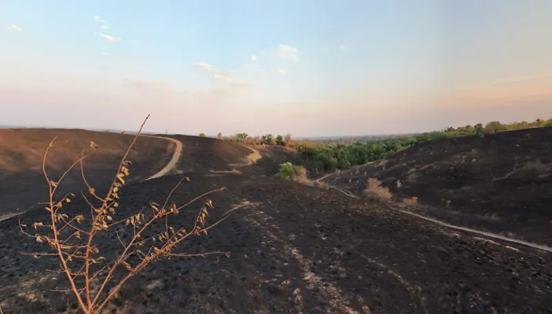 На "Лисій горі" поблизу Лубен хочуть створити ландшафтний заказник