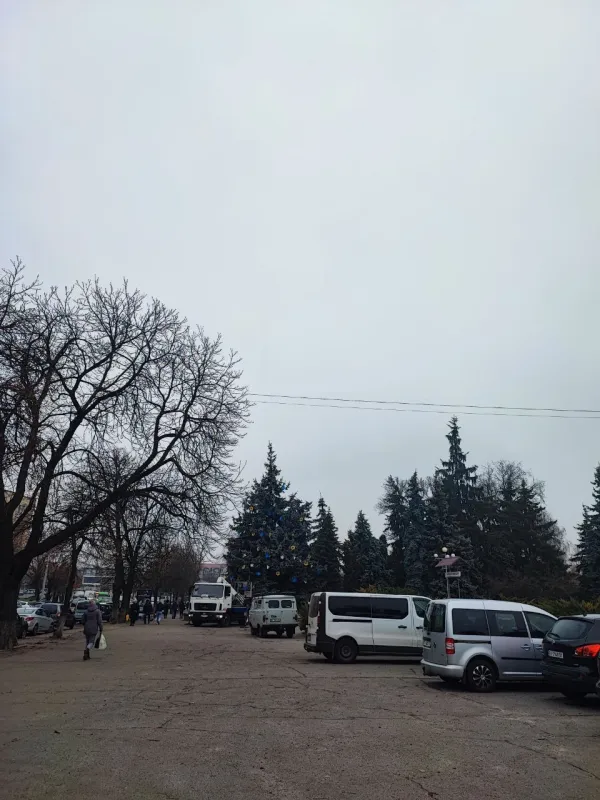 У Лубнах прикрашають живу новорічну ялинку