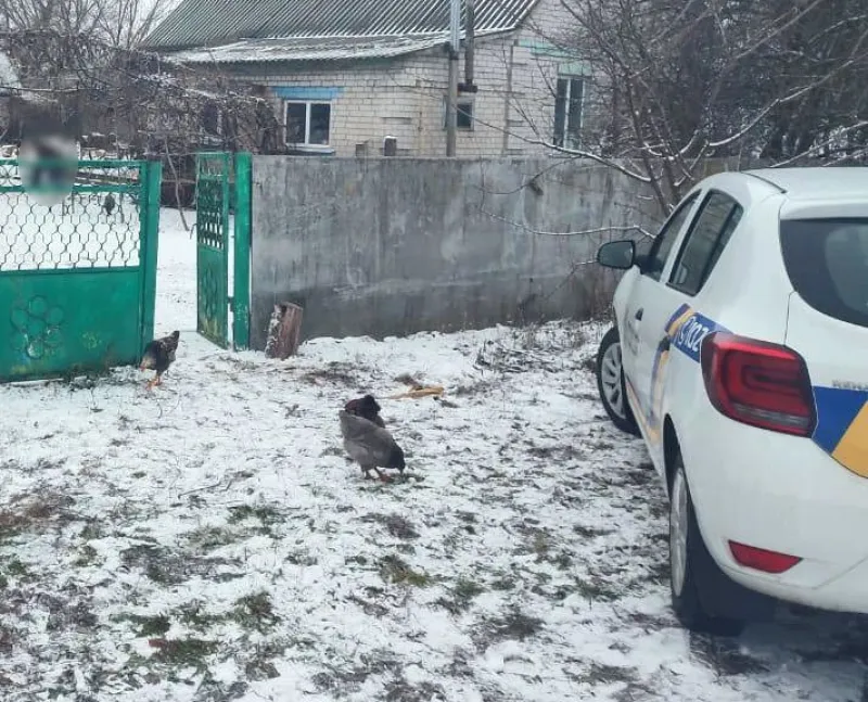 У Лубнах батько, який кілька разів вдарив ножем сина, отримав умовне покарання