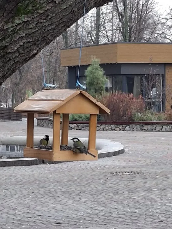 У парках в Лубнах вкрали годівнички для птахів
