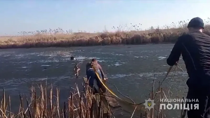 Поліцейські Пирятинщини врятували собаку, який провалився під кригу