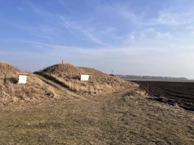 На Пирятинщині намагаються зберегти стародавню літописну фортецю Полкостень