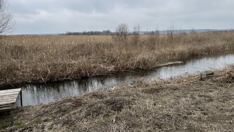 Жителі села Лушники Лубенської громади ініціювали розчищення річки Удай
