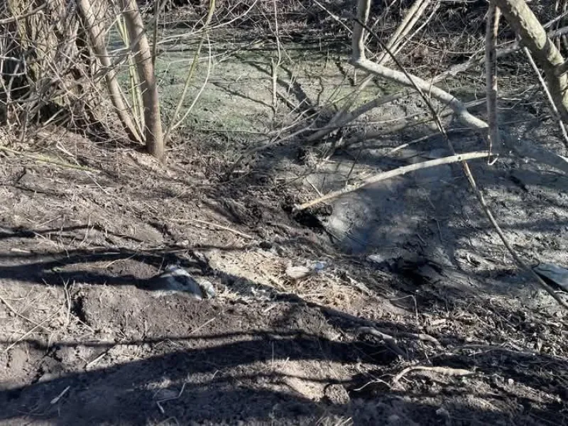 У селі Новооріхівка на Лубенщині виявили злив нечистот птахів та худобомогильник