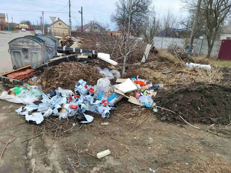 У Лубнах закликають не створювати біля сміттєвих баків гори сміття: що з ним робити