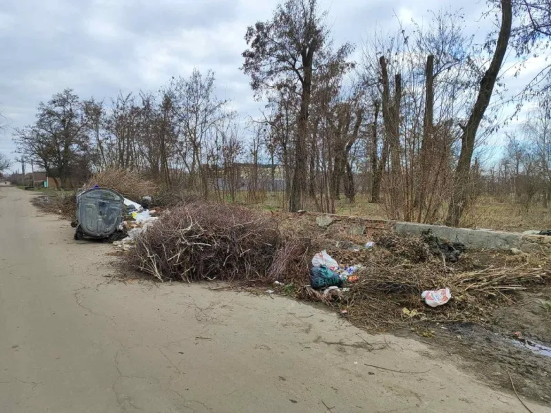 У Лубнах закликають не створювати біля сміттєвих баків гори сміття: що з ним робити 
