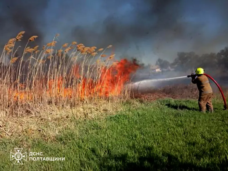 У Хоролі другу добу триває ліквідація масштабної пожежі на сміттєзвалищі - ДСНС