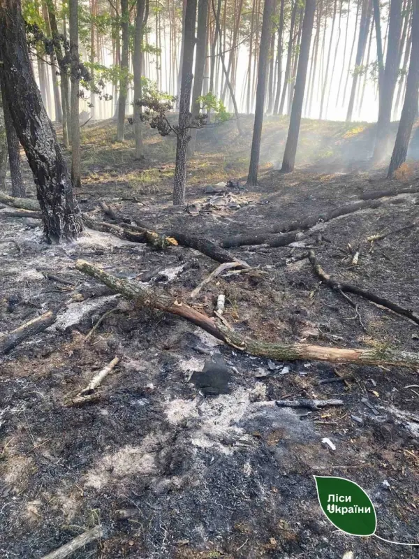 На Полтавщині після російських обстрілів горіли ліси