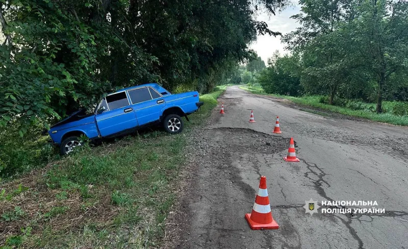 У Лубенській громаді неповнолітня водійка в'їхала в дерево: травмовано троє людей