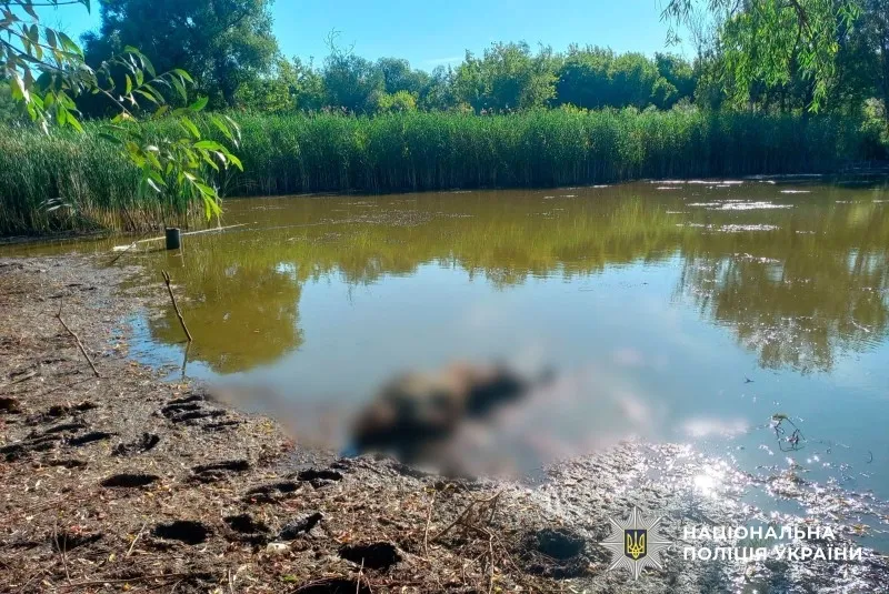 У Чорнухинській громаді у водоймі загинув чоловік