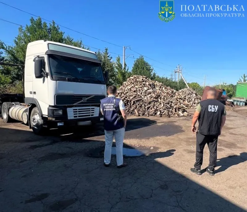На Полтавщині організована група вирубала ліс на понад 2 млн грн