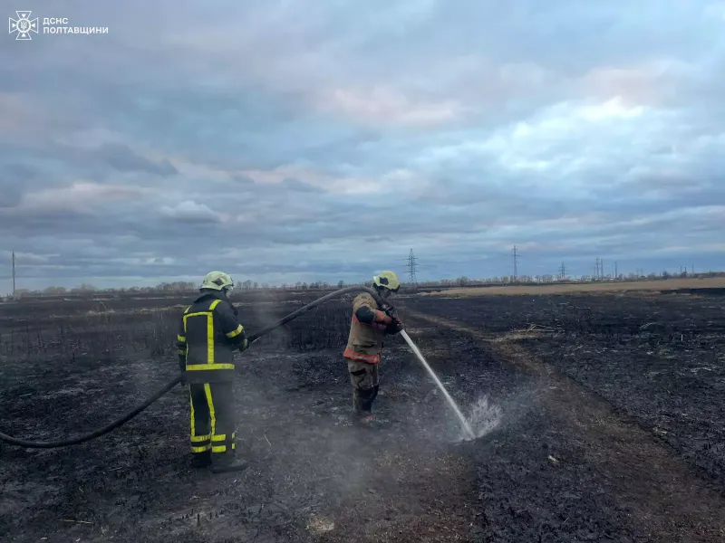 У Хорольські громаді горить торфовище