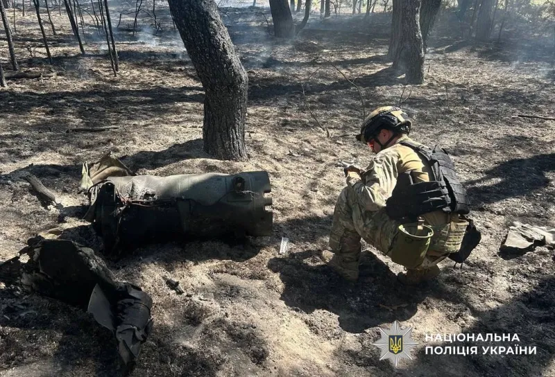 У лісі на Полтавщині знешкодили бойову частину ворожої ракети