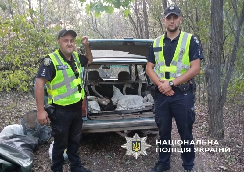 На Полтавщині поліція врятувала чотирьох лебедів від браконьєрів