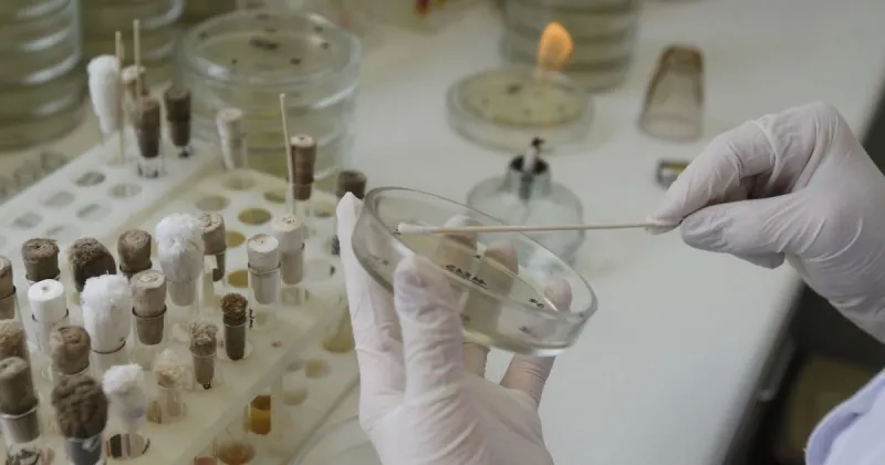 У Лубнах нові спалахи кишкових інфекцій серед дітей