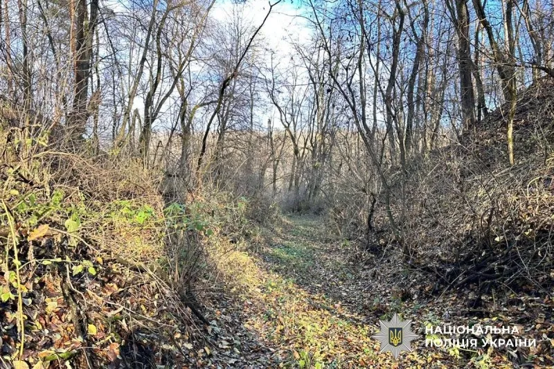 Зниклу мешканку Лубенської громади знайшли мертвою в лісі