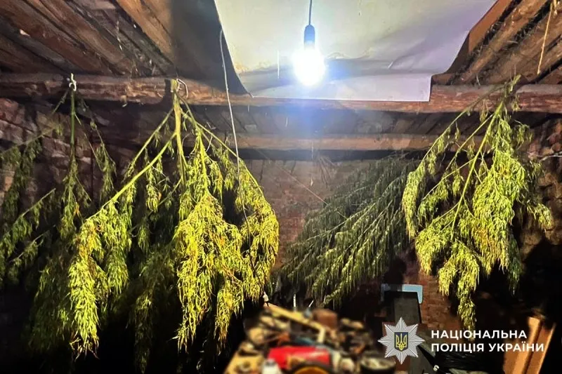 У 60-річного жителя Оржиччини вилучили майже 6 кг наркотиків