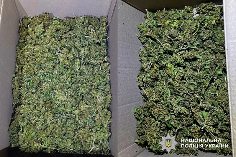 У 60-річного жителя Оржиччини вилучили майже 6 кг наркотиків