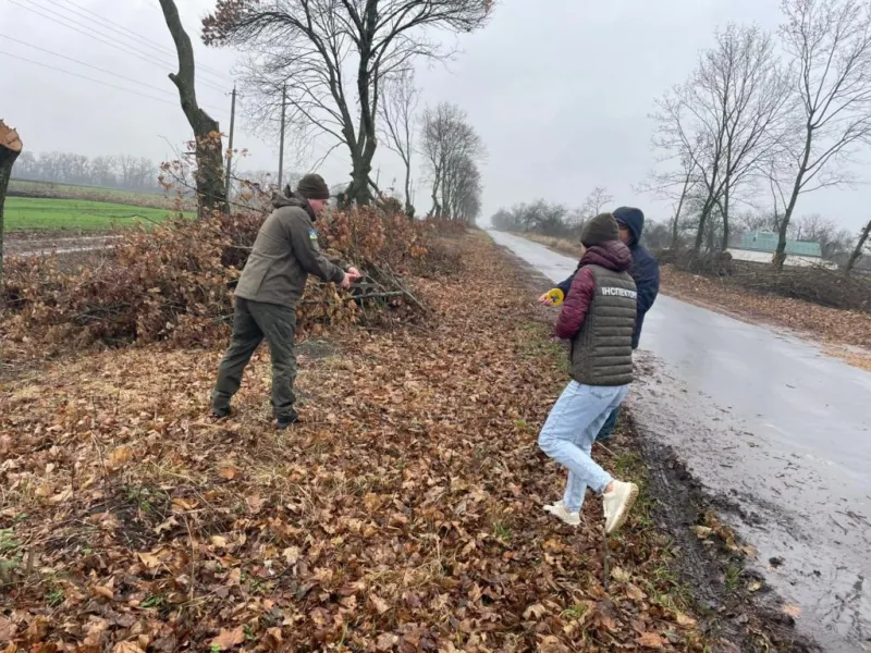 На Полтавщині виявили незаконну порубку дерев