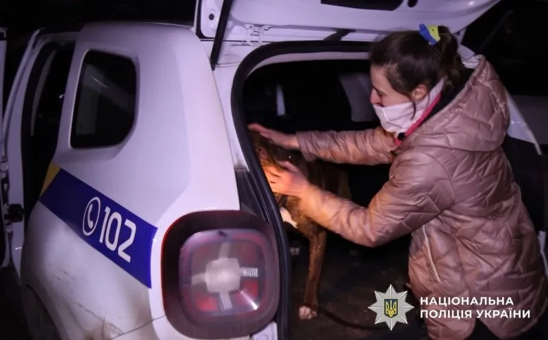 Собаку, який напав на поліцейських у Полтаві, повернули власнику