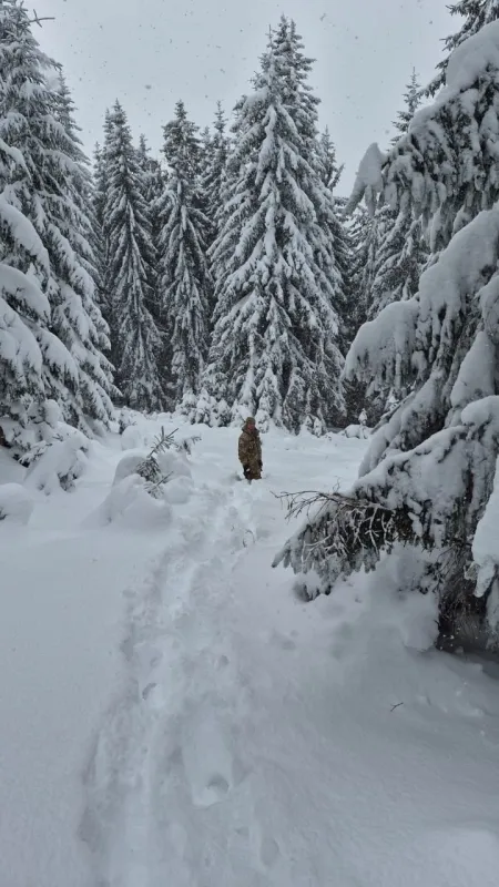 На Закарпатті врятували полтавця, який заблукав у горах при спробі перетнути кордон