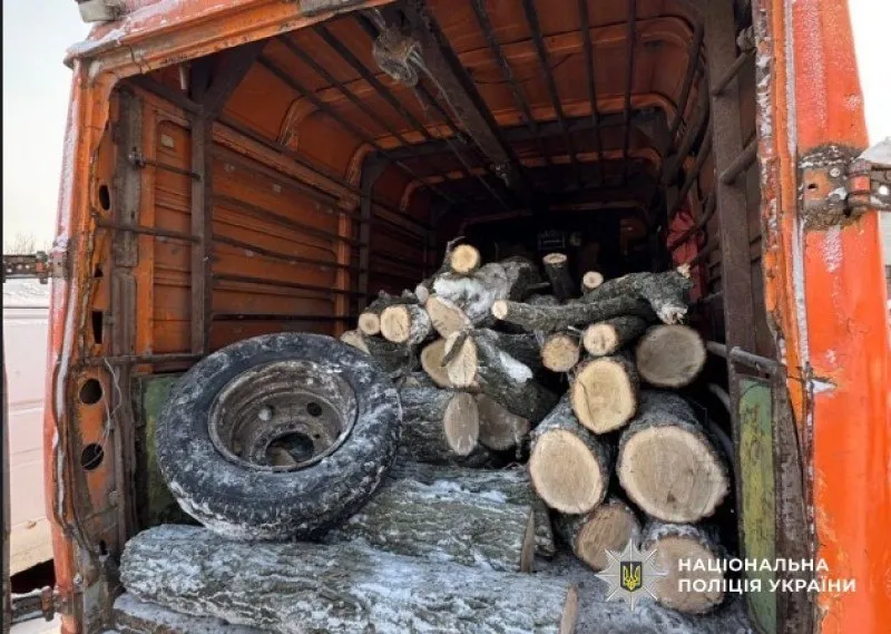 У Лубенській громаді поліція викрила групу "чорних лісорубів"