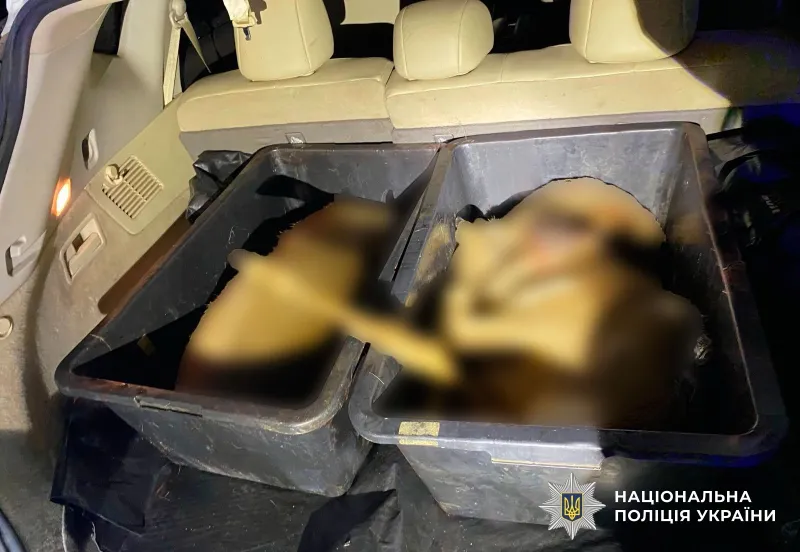 У Полтаві в багажнику автомобіля виявили туші козуль та зброю