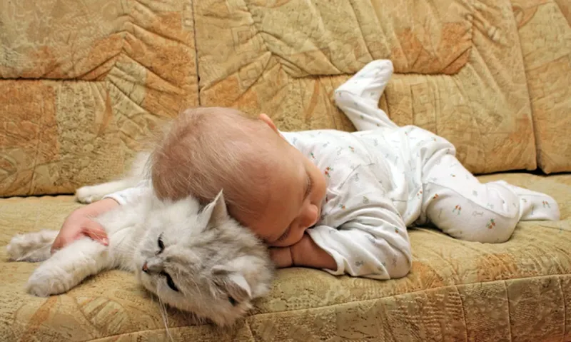 Скільки дітей народилося в Лубнах від початку року