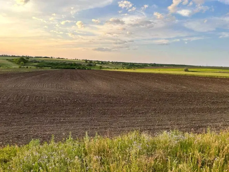 На Лубенщині вимагають конфіскації 18 га землі, які протиправно перебувають у власності іноземців
