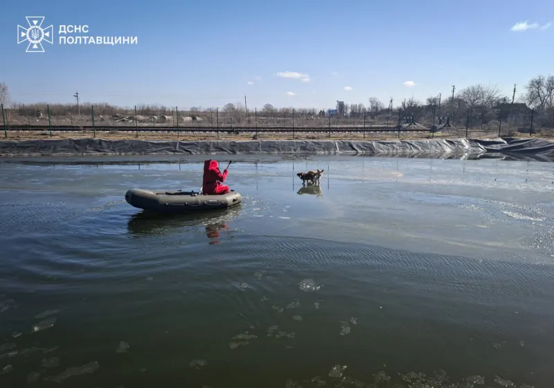 На Полтавщині рятувальники визволили собак, які застрягли на крижині