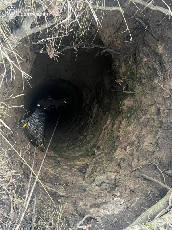 На Полтавщині врятували собаку з 10-метрової ями